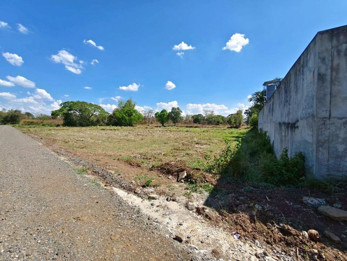 ขายที่ดินบุรีรัมย์ : ขายที่ดินเปล่า ถมแล้ว เนื้อที่ 9 ไร่ 84 ตารางวา ใกล้สนามช้างอารีน่า อำเภอเมืองบุรีรัมย์ ตำบลอิสาณ จังหวัดบุรีรัมย์