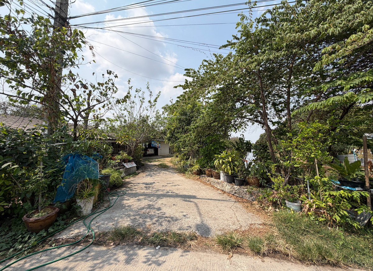 For SaleLandSamut Prakan,Samrong : Empty land for sale with buildings High potential location, Bangna Trat Road, KM.16.5
