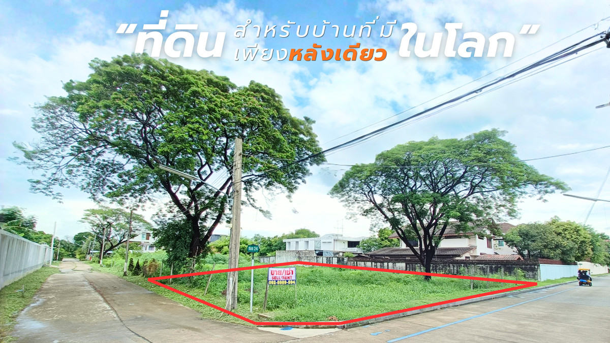 ขายที่ดินพัฒนาการ ศรีนครินทร์ : ขาย ที่ดินถมแล้ว แปลงมุม พัฒนาการ 58 ติดถนน 2 ด้าน 207 ตารางวา ใกล้โรงเรียนเตรียมอุดมพัฒนาการ มีรปภ.ในโครงการ ผังเมืองสีเหลือง