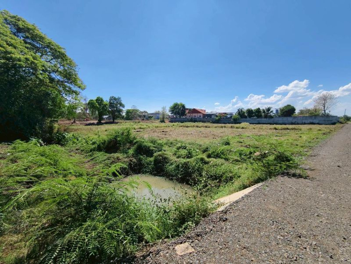 ขายที่ดินบุรีรัมย์ : ขายที่ดินเปล่า ถมแล้ว เนื้อที่ 9 ไร่ 84 ตารางวา ใกล้สนามช้างอารีน่า อำเภอเมืองบุรีรัมย์ ตำบลอิสาณ จังหวัดบุรีรัมย์