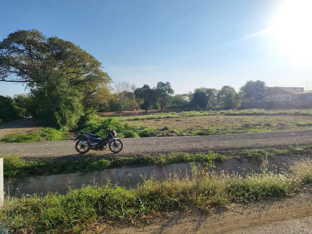 ขายที่ดินบุรีรัมย์ : ขายที่ดินเปล่า ถมแล้ว เนื้อที่ 9 ไร่ 84 ตารางวา ใกล้สนามช้างอารีน่า อำเภอเมืองบุรีรัมย์ ตำบลอิสาณ จังหวัดบุรีรัมย์