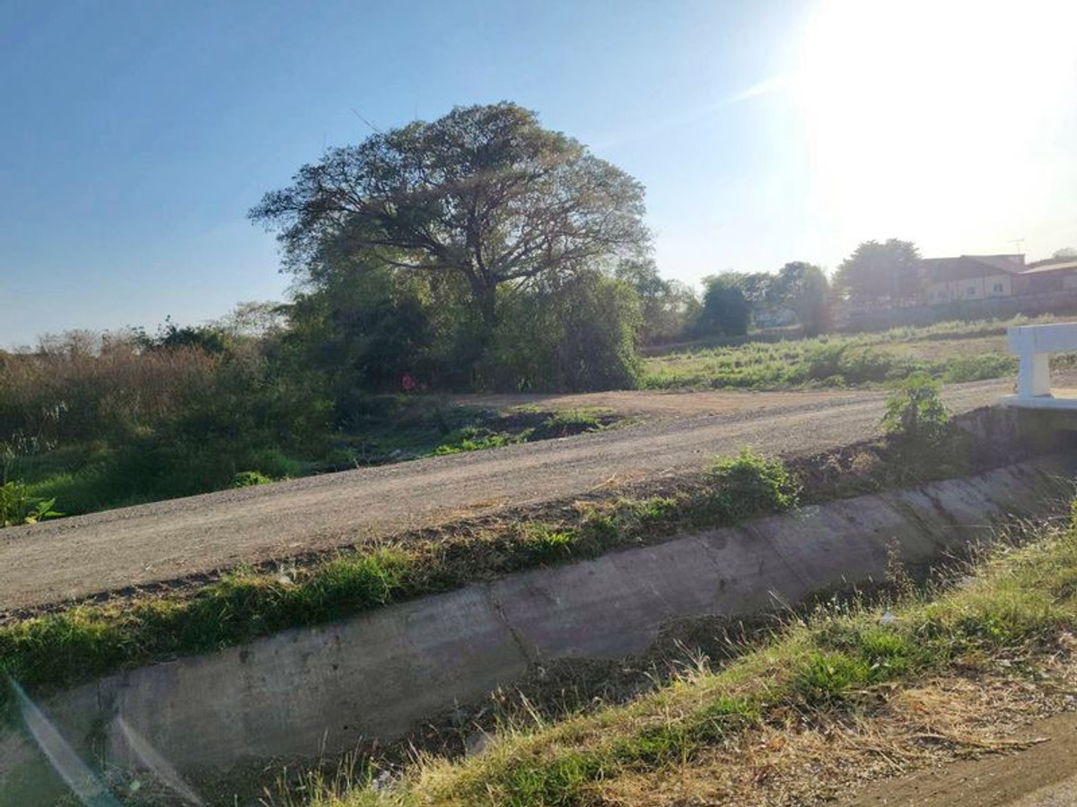 ขายที่ดินบุรีรัมย์ : ขายที่ดินเปล่า ถมแล้ว เนื้อที่ 9 ไร่ 84 ตารางวา ใกล้สนามช้างอารีน่า อำเภอเมืองบุรีรัมย์ ตำบลอิสาณ จังหวัดบุรีรัมย์