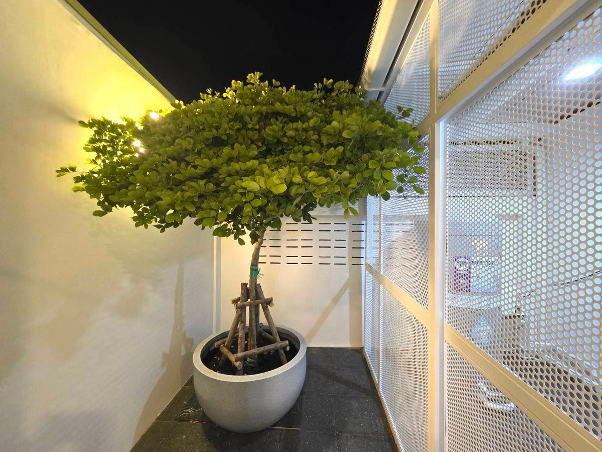 ให้เช่าทาวน์โฮมโชคชัย4 ลาดพร้าว71 : RH031026 ให้เช่า ทาวน์เฮาส์ 2 ชั้น รีโนเวทใหม่ ย่าน ลาดพร้าว เฟอร์นิเจอร์ครบ