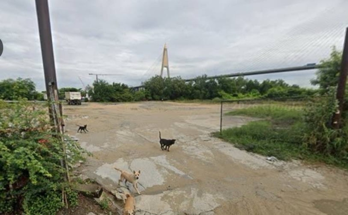 ขายที่ดินสมุทรปราการ สำโรง : ขายที่ดิน บางหัวเสือซอยเทศบาลสำโรงใต้ 21