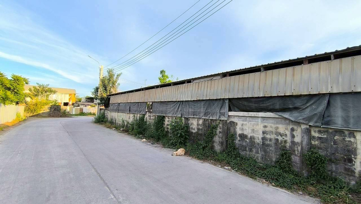 For SaleWarehouseBangna, Bearing, Lasalle : Land for sale with warehouse, Sukhumvit Road, Bangna, Bangkok, Soi Lasan 52, Soi Bearing 39, Soi Sri Dan 21, near MRT Sri Lasalle, only 2 kilometers, near Srinakarin Road. Near Sukhumvit Road Near Bangna-Trad Expressway