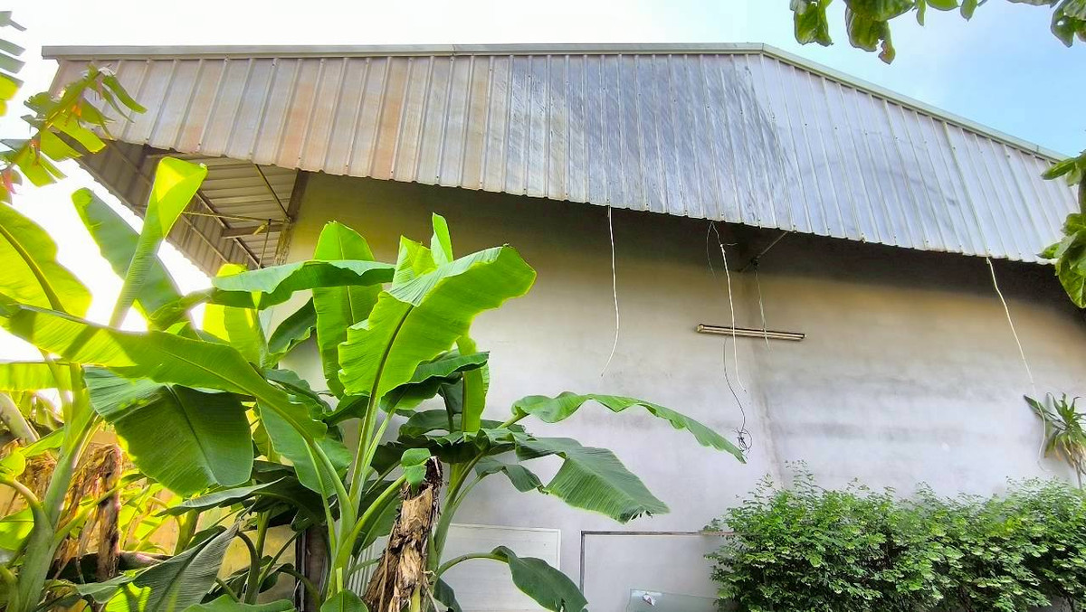 For SaleWarehouseBangna, Bearing, Lasalle : Land for sale with warehouse, Sukhumvit Road, Bangna, Bangkok, Soi Lasan 52, Soi Bearing 39, Soi Sri Dan 21, near MRT Sri Lasalle, only 2 kilometers, near Srinakarin Road. Near Sukhumvit Road Near Bangna-Trad Expressway