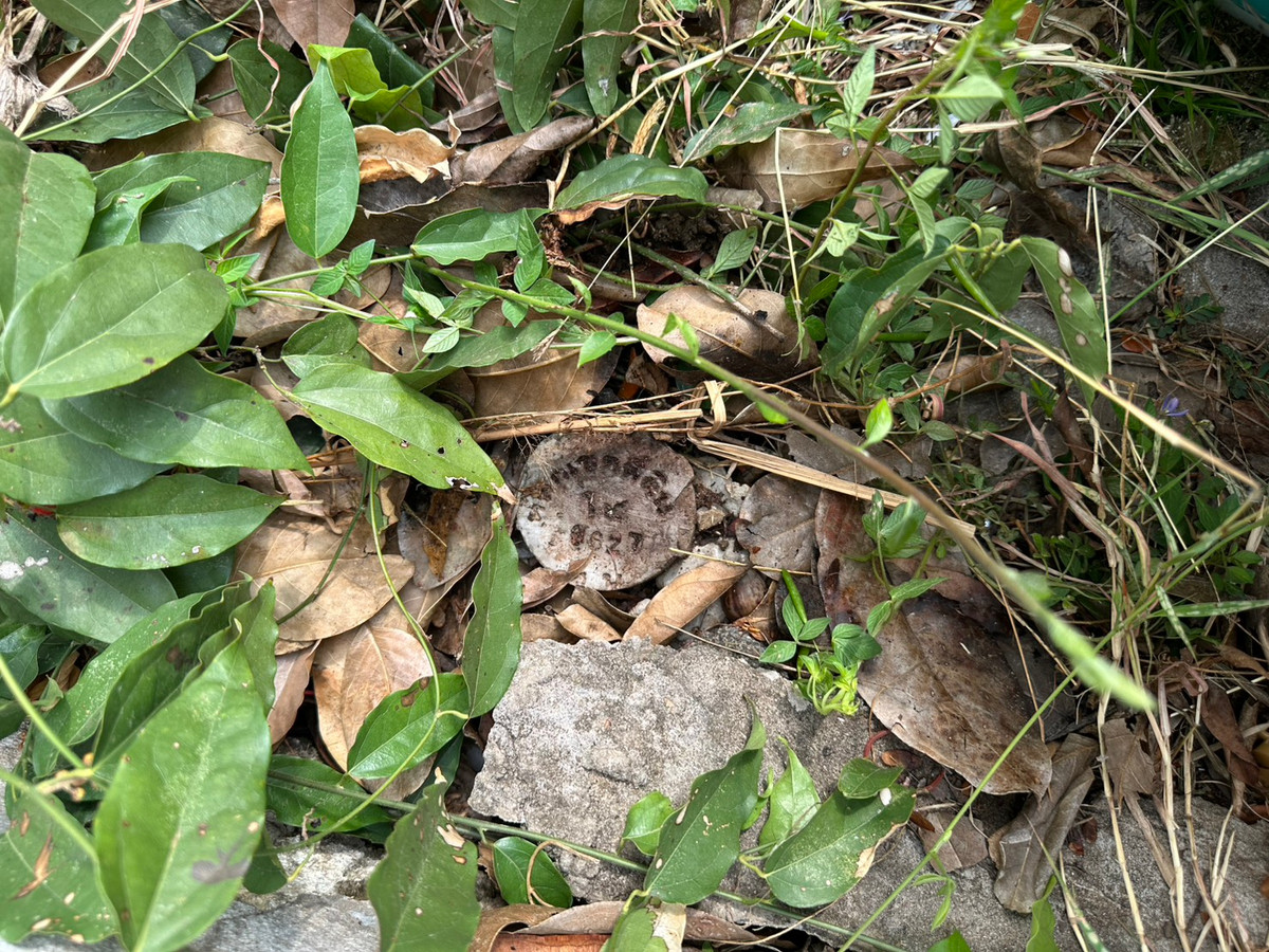 ขายที่ดินสกลนคร : ที่ดินแปลงสวย ถมแล้ว ติดถนนเสรีไทย เหมาะทำธุรกิจ