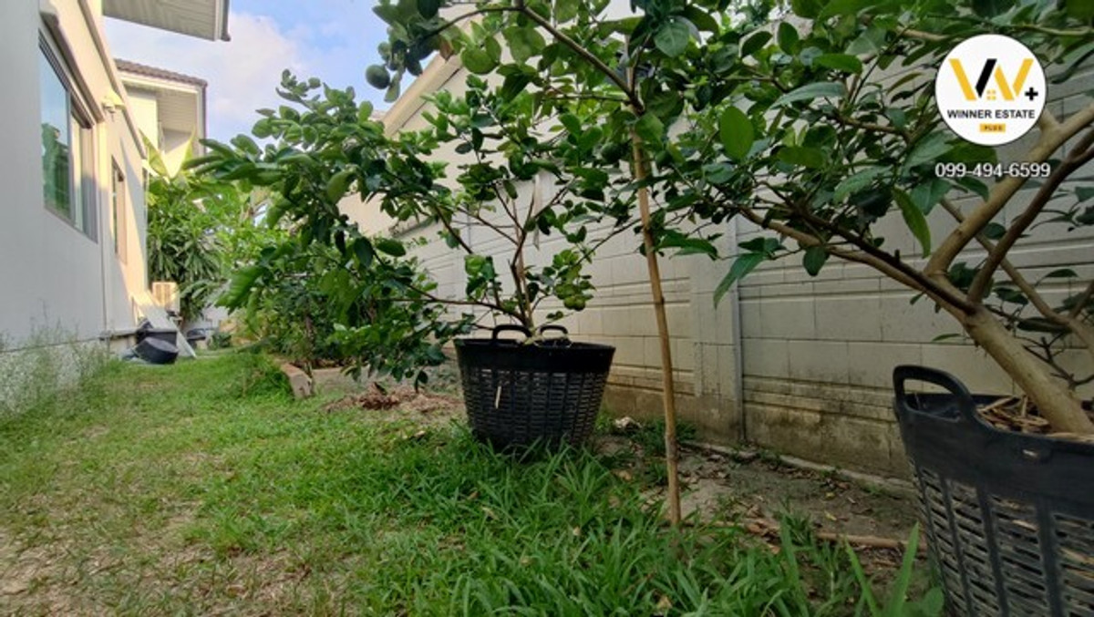 ขายบ้านนนทบุรี บางใหญ่ บางบัวทอง : บ้านเดี่ยวเพอร์เฟคเพลส รัตนาธิเบศร์-สถานีไทรม้า หลังมุม ฟรีตกแต่งบิ้วอิน เฟอร์กว่า 1.6 ล้าน