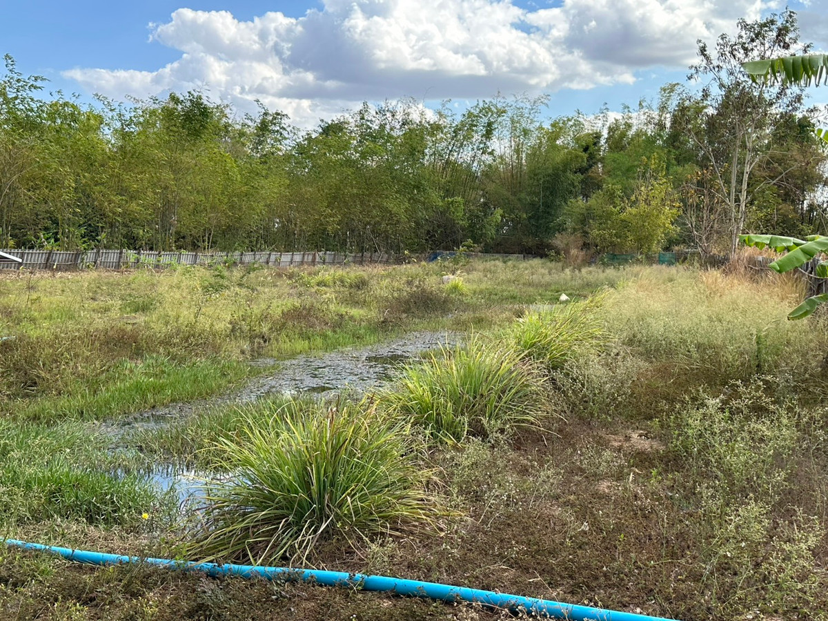 ขายบ้านสกลนคร : ขายบ้านเดี่ยวชั้นเดียว สไตล์บ้านสวน จ.สกลนคร