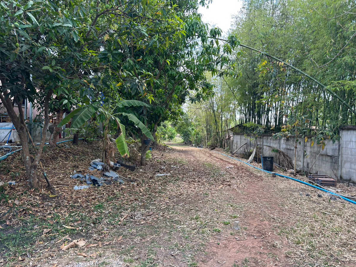 ขายบ้านสกลนคร : ขายบ้านเดี่ยวชั้นเดียว สไตล์บ้านสวน จ.สกลนคร