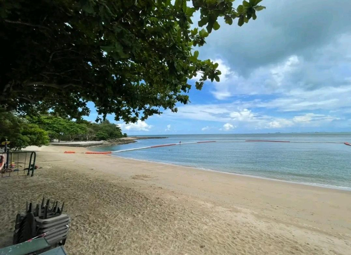 ขายพัทยา บางแสน ชลบุรี สัตหีบ : 🏖️ ขาย/ให้เช่า พูลวิลล่าหรูติดทะเลหาดวงศ์อมาตย์ พัทยาเหนือ ติด ปราสาทสัจธรรม ราคา 240 ลบ. | เช่า 350,000/ด. สนใจติดต่อ ลูกเจี๊ยบ 065-536-5165 🤍✨ #บ้านหรูพัทยา #พูลวิลล่าติดทะเล #LuxuryBeachfront #LookjeabKrittiya
