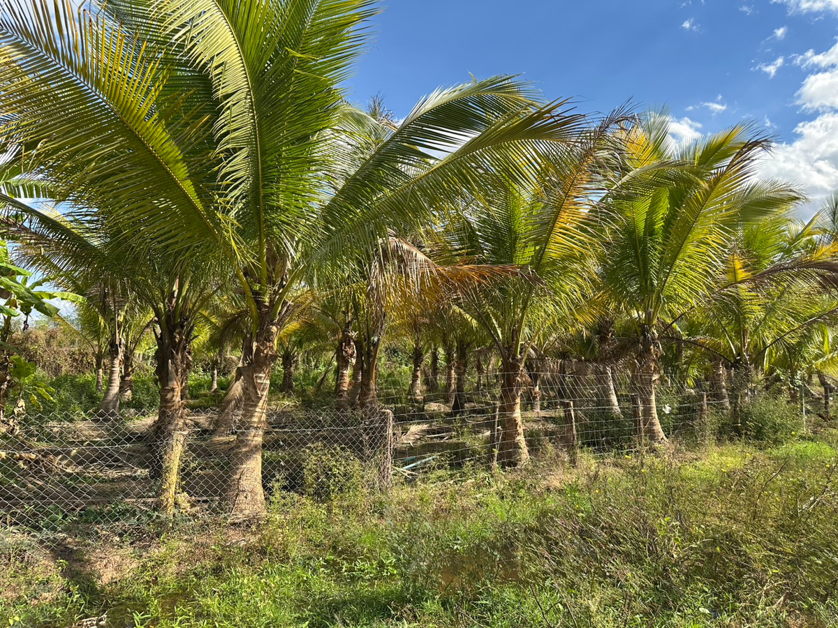 ขายบ้านสกลนคร : ขายบ้านเดี่ยวชั้นเดียว สไตล์บ้านสวน จ.สกลนคร