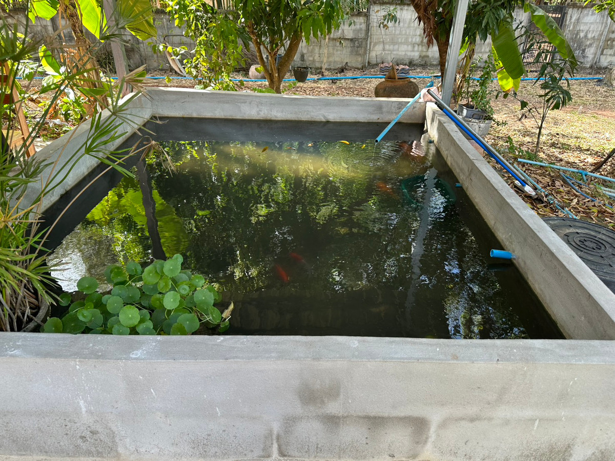 ขายบ้านสกลนคร : ขายบ้านเดี่ยวชั้นเดียว สไตล์บ้านสวน จ.สกลนคร