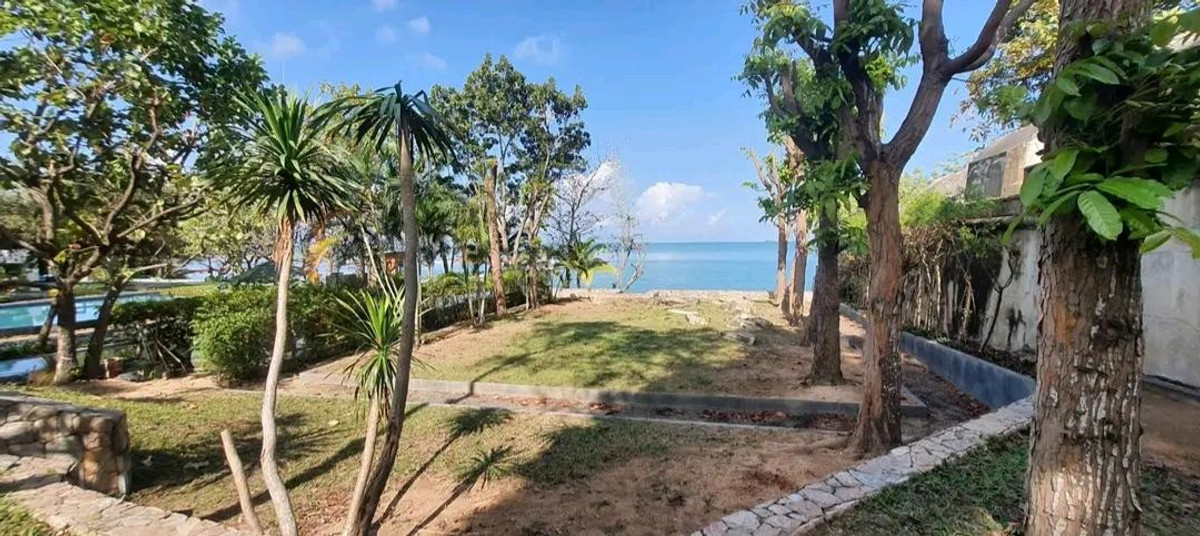 ขายพัทยา บางแสน ชลบุรี สัตหีบ : 🏖️ ขาย/ให้เช่า พูลวิลล่าหรูติดทะเลหาดวงศ์อมาตย์ พัทยาเหนือ ติด ปราสาทสัจธรรม ราคา 240 ลบ. | เช่า 350,000/ด. สนใจติดต่อ ลูกเจี๊ยบ 065-536-5165 🤍✨ #บ้านหรูพัทยา #พูลวิลล่าติดทะเล #LuxuryBeachfront #LookjeabKrittiya