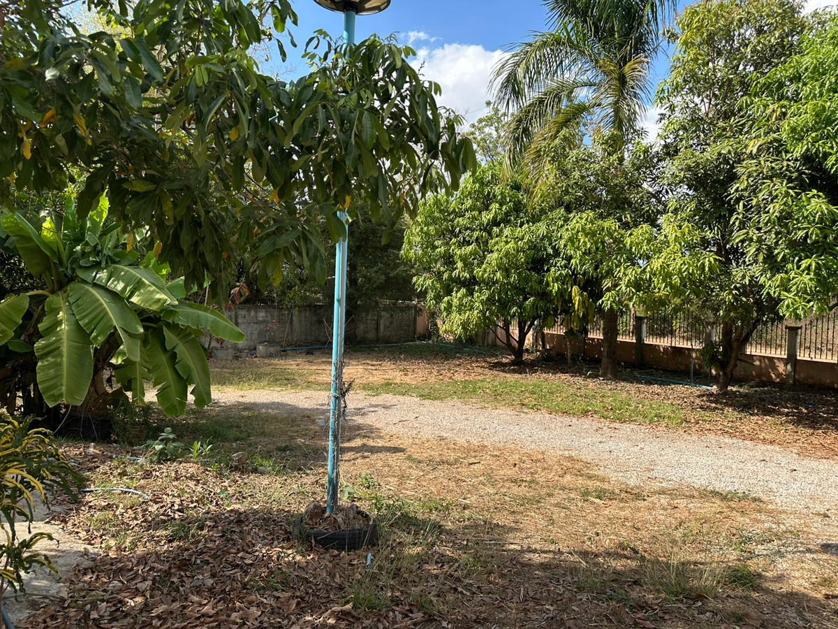 ขายบ้านสกลนคร : ขายบ้านเดี่ยวชั้นเดียว สไตล์บ้านสวน จ.สกลนคร