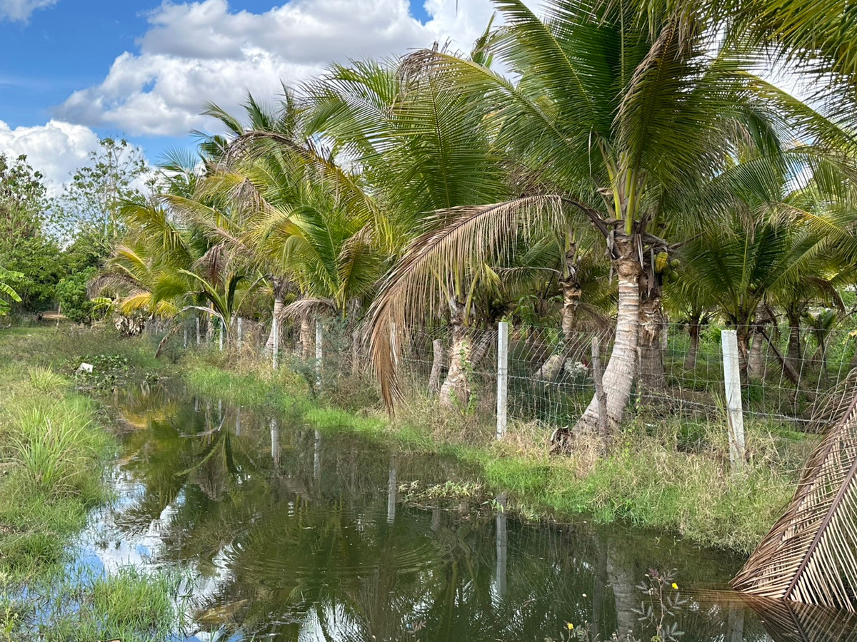 ขายบ้านสกลนคร : ขายบ้านเดี่ยวชั้นเดียว สไตล์บ้านสวน จ.สกลนคร