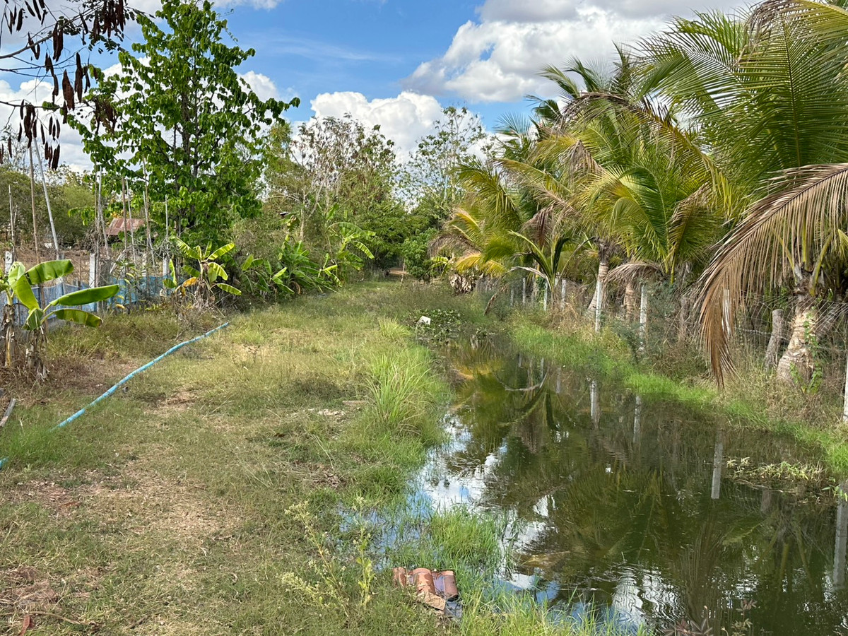 ขายบ้านสกลนคร : ขายบ้านเดี่ยวชั้นเดียว สไตล์บ้านสวน จ.สกลนคร