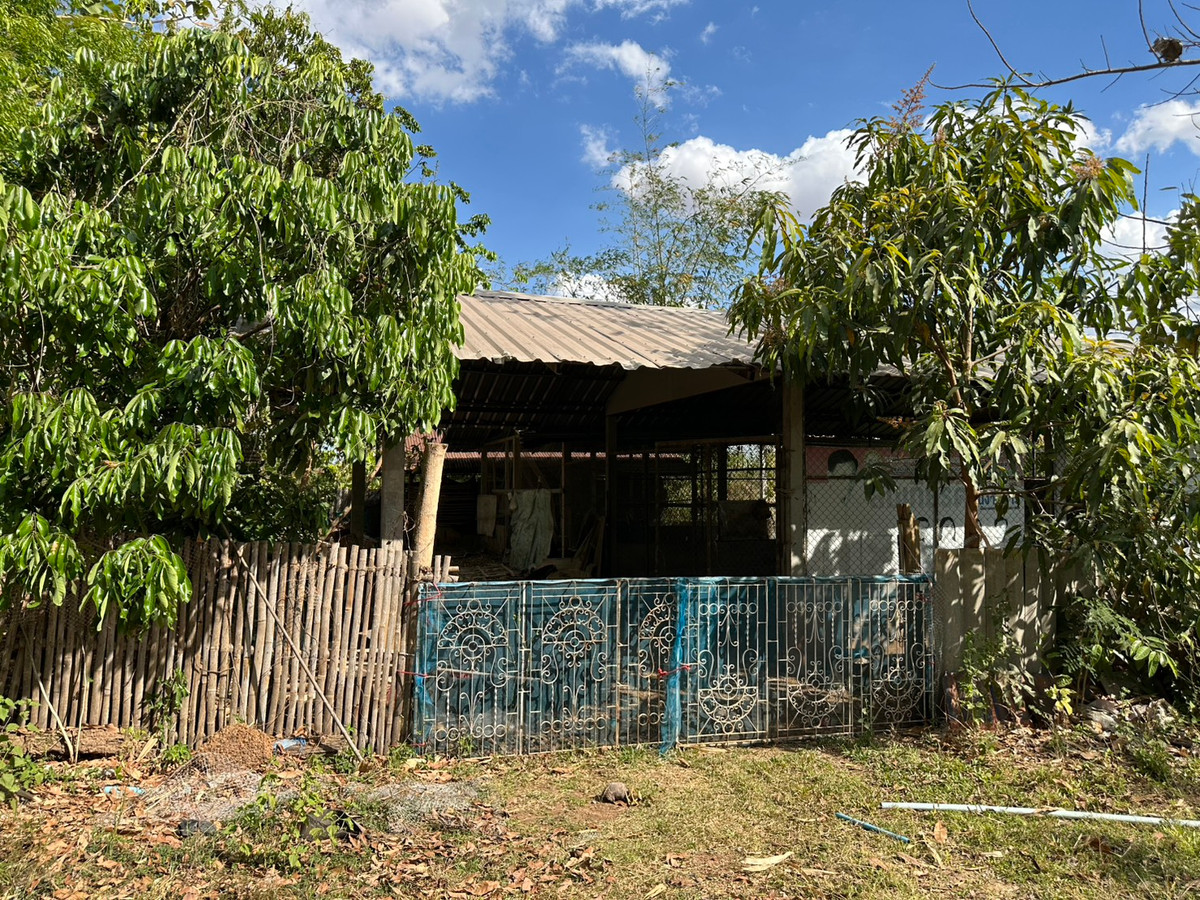 ขายบ้านสกลนคร : ขายบ้านเดี่ยวชั้นเดียว สไตล์บ้านสวน จ.สกลนคร