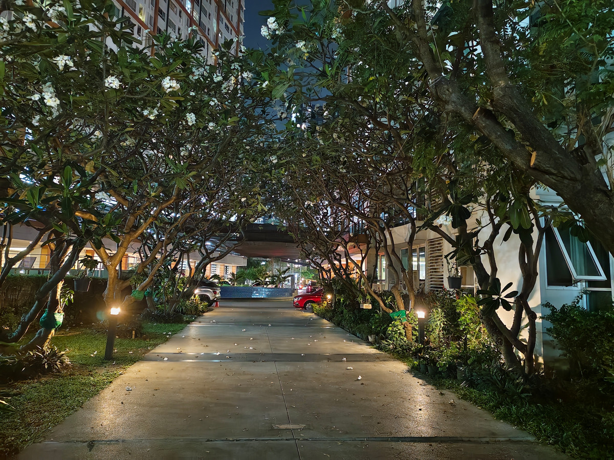 ขายคอนโดราษฎร์บูรณะ สุขสวัสดิ์ : ขายไอวี่ ริเวอร์ คอนโด (Ivy River Condo) รีโนเวทใหม่ ริมแม่น้ำเจ้าพระยา เขตราษฎร์บูรณะ กทม. 