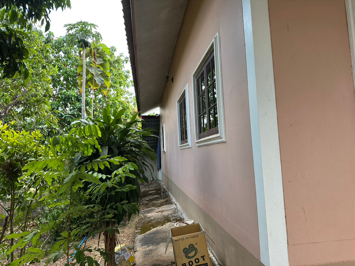 ขายบ้านสกลนคร : ขายบ้านเดี่ยวชั้นเดียว สไตล์บ้านสวน จ.สกลนคร