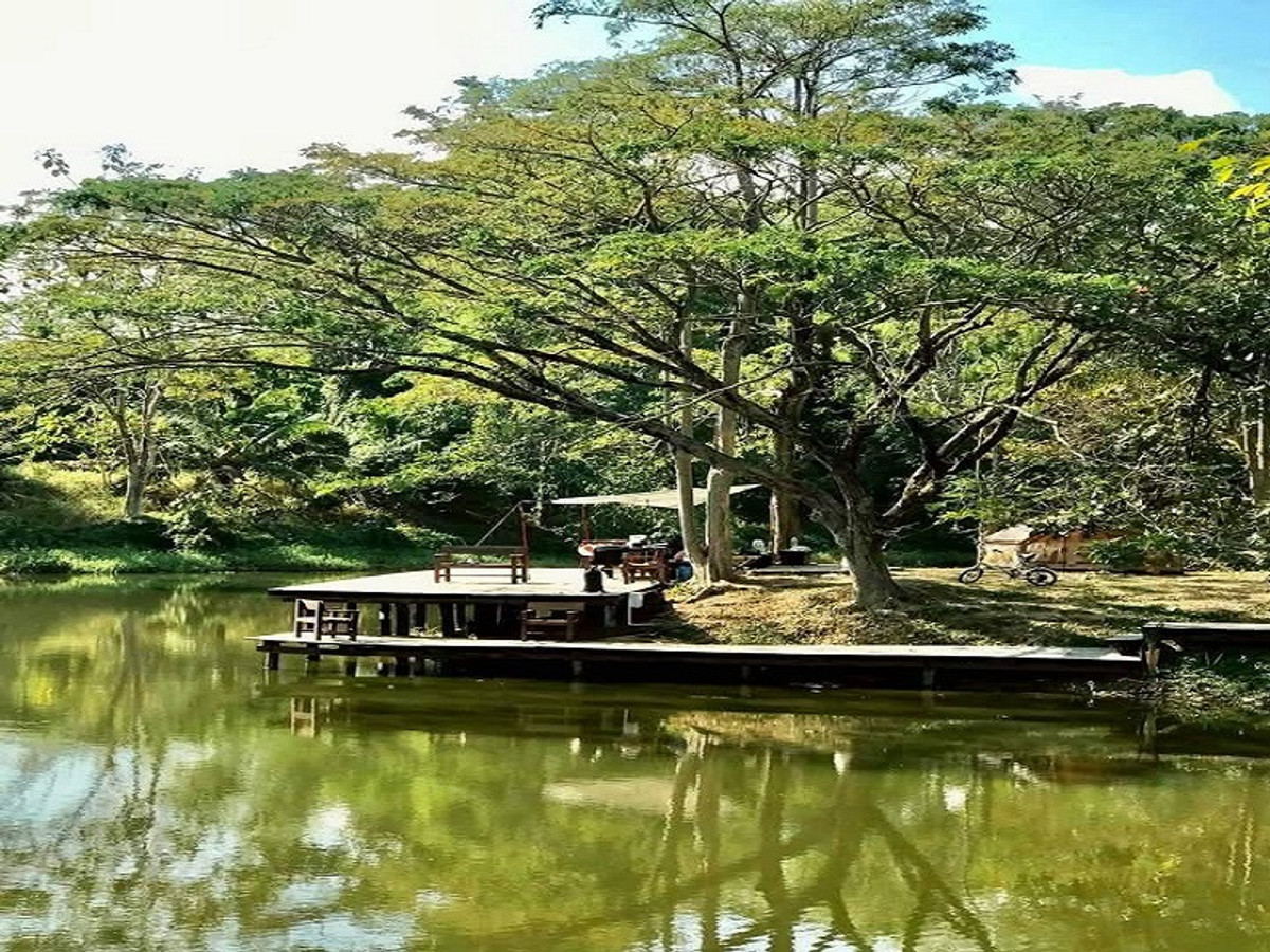 For SaleLandSriracha Laem Chabang Ban Bueng : 5 rai of waterfront land for sale in Bang Phra, Si Racha. Natural views, ideal location for a cafe or camping site.