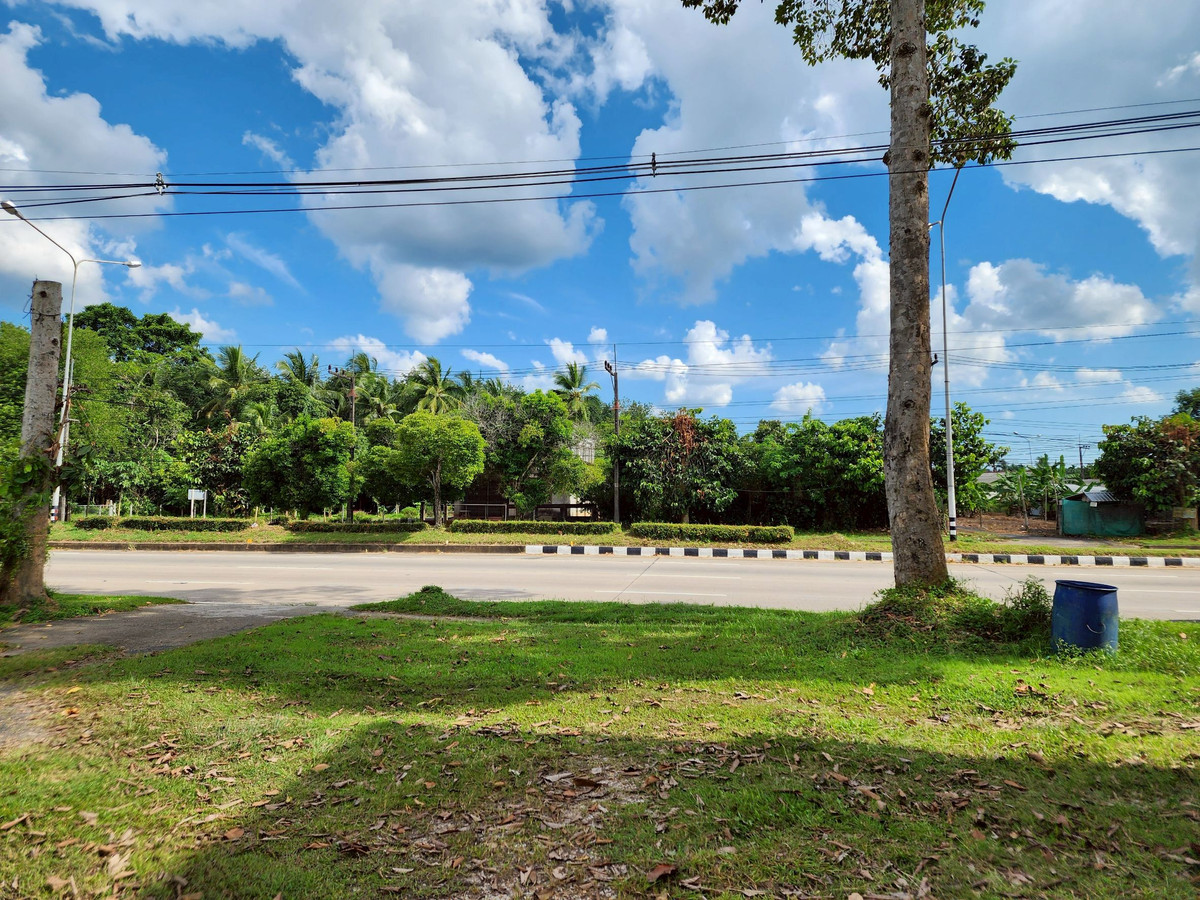 ขายที่ดินตรัง : ขายที่ดิน 3 ห้อง อำเภอนาโยง จังหวัดตรัง ติดถนนหลัก 2 งาน เหมาะทำธุรกิจ 