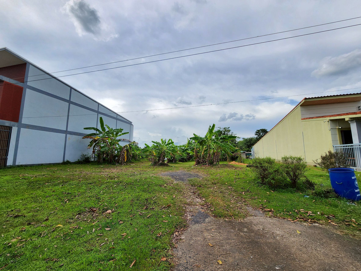 ขายที่ดินตรัง : ขายที่ดิน 3 ห้อง อำเภอนาโยง จังหวัดตรัง ติดถนนหลัก 2 งาน เหมาะทำธุรกิจ 