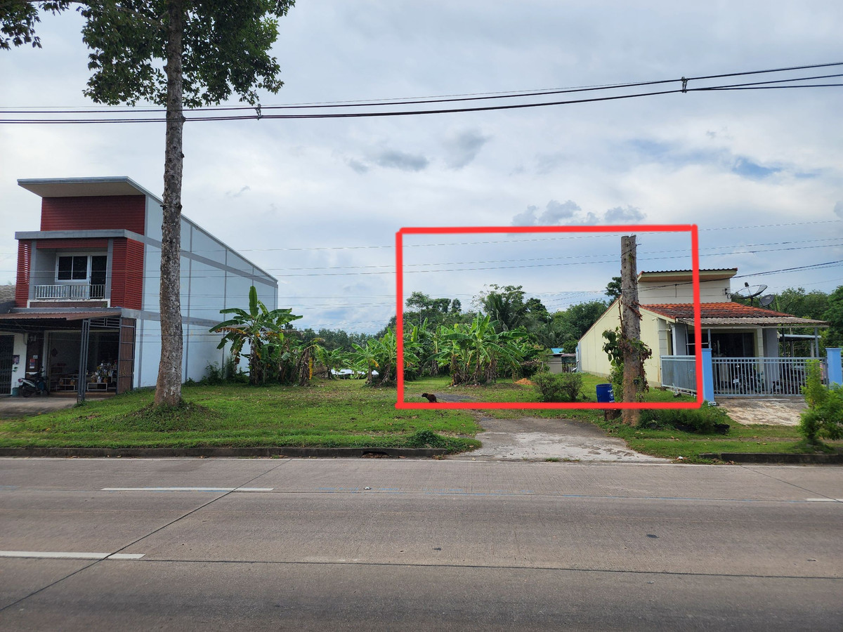ขายที่ดินตรัง : ขายที่ดิน 3 ห้อง อำเภอนาโยง จังหวัดตรัง ติดถนนหลัก 2 งาน เหมาะทำธุรกิจ 