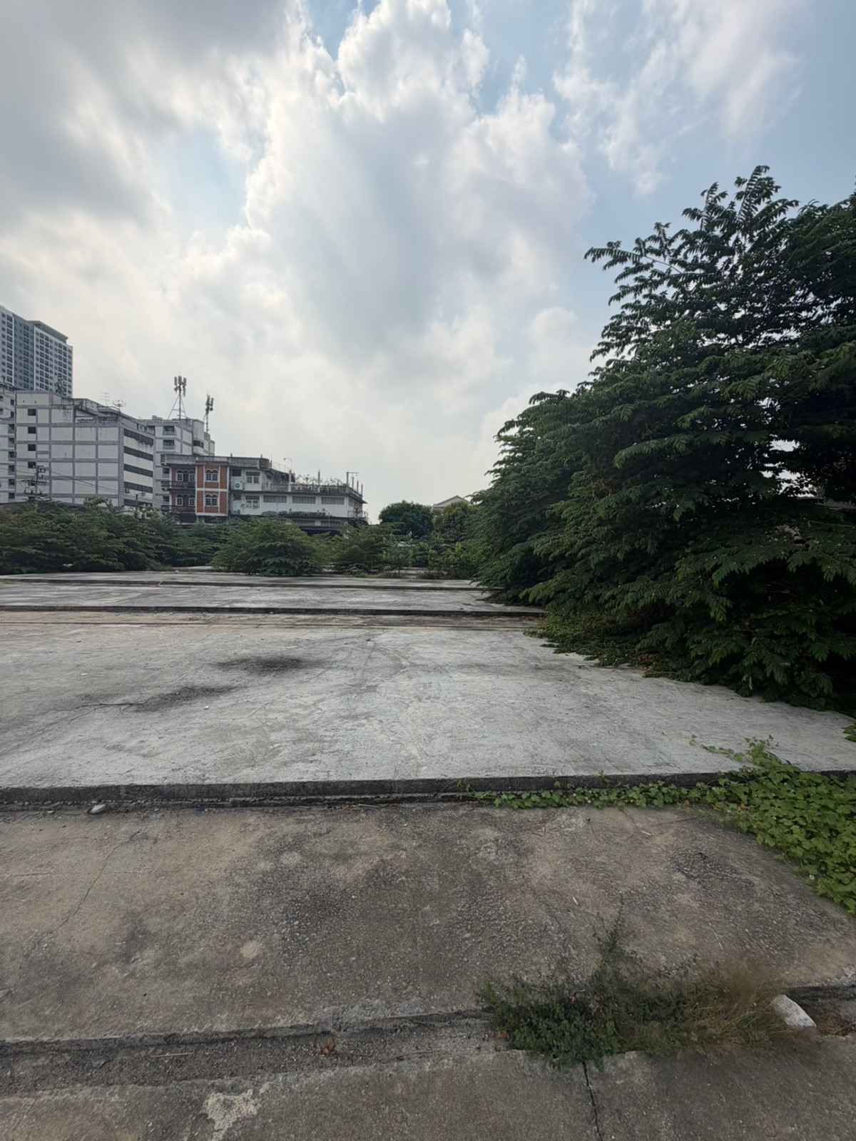 For SaleLandBang kae, Phetkasem : Land for sale 929 sq m 140 million