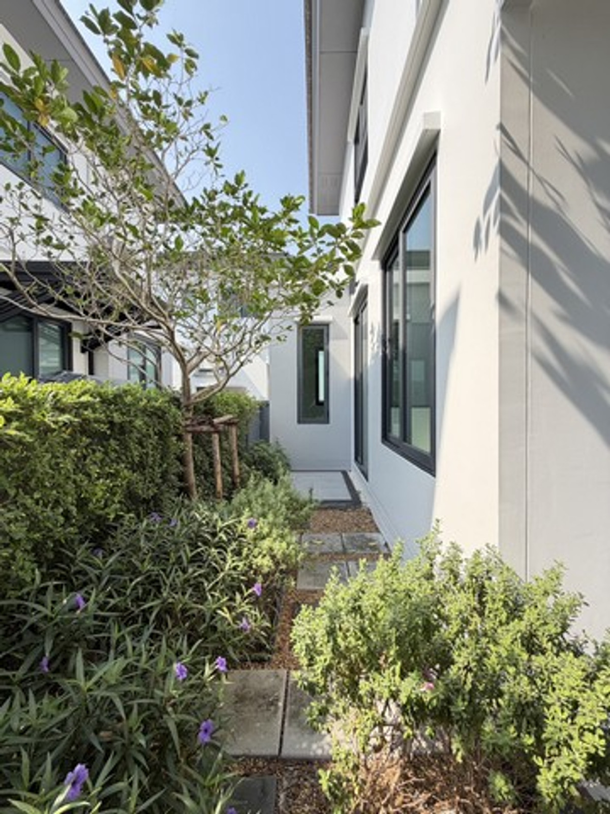 ให้เช่าบ้านพระราม 5 ราชพฤกษ์ บางกรวย : ขายดาวน์ หรือให้เช่า บ้านเดี่ยวแกรนด์บริทาเนีย ราชพฤกษ์ - พระราม 5 ที่ดิน 76.80 ตารางวา พื้นที่ 185 ตรม. 3 ห้องนอน 3 ห้องน้ำ 3 ที่จอดรถ บ้านใหม่ไม่เคยเข้าอยู่