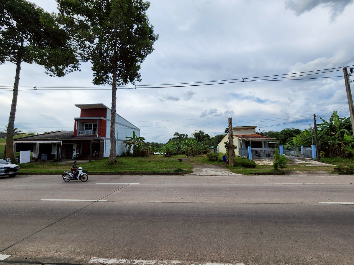 ขายที่ดินตรัง : ขายที่ดิน 3 ห้อง อำเภอนาโยง จังหวัดตรัง ติดถนนหลัก 2 งาน เหมาะทำธุรกิจ 