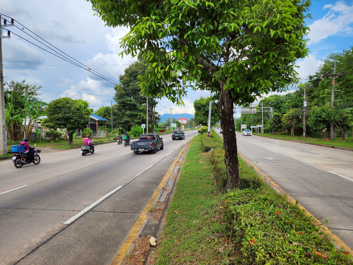 ขายที่ดินตรัง : ขายที่ดิน 3 ห้อง อำเภอนาโยง จังหวัดตรัง ติดถนนหลัก 2 งาน เหมาะทำธุรกิจ 