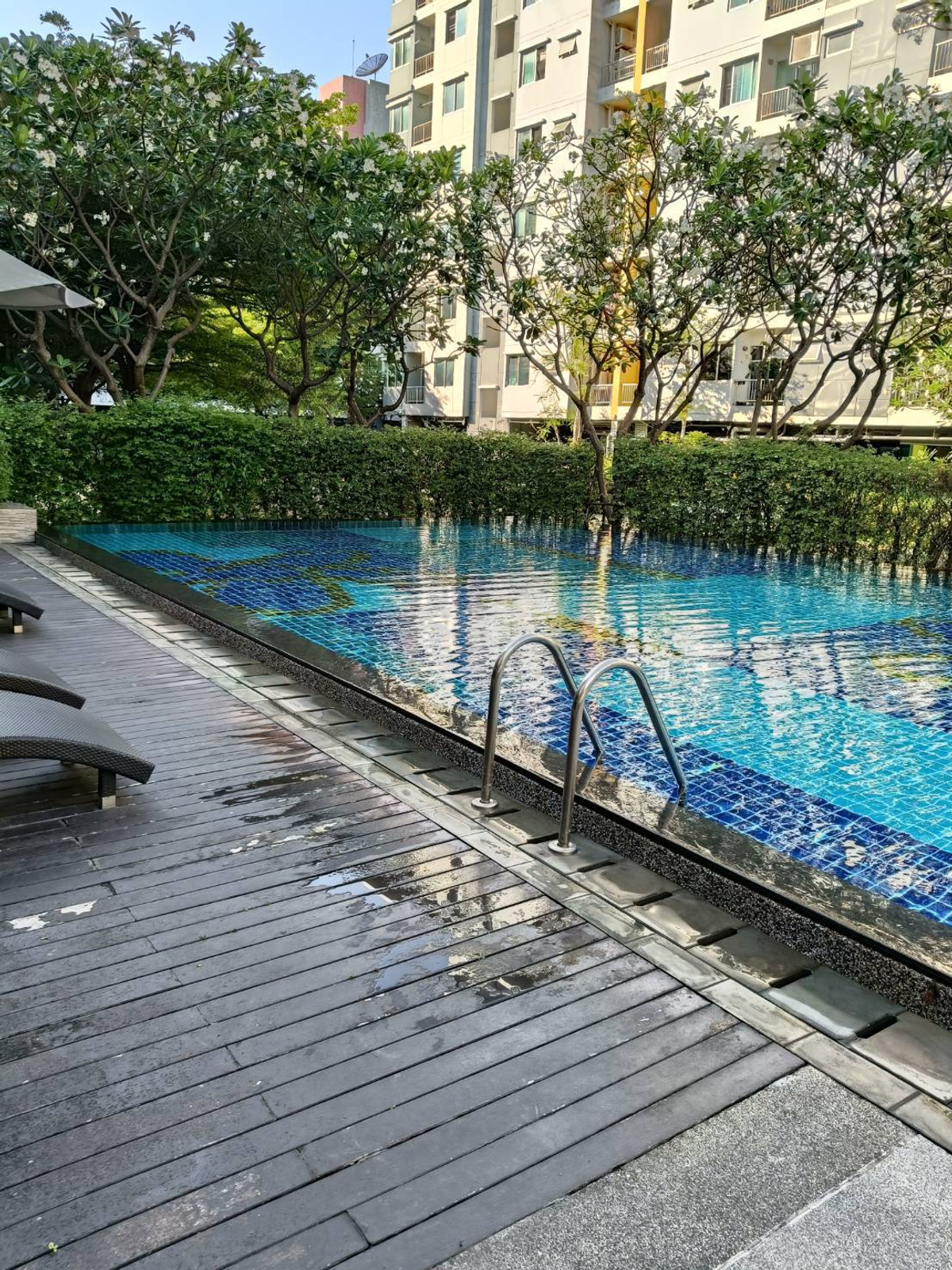 ขายคอนโดรัชดา ห้วยขวาง : คอนโด ศุภาลัย ซิตี้ สอร์ท พื้นที่ 31 ตรม. ชั้น 7 วิวเมือง โครงการสงบน่าอยู่ 