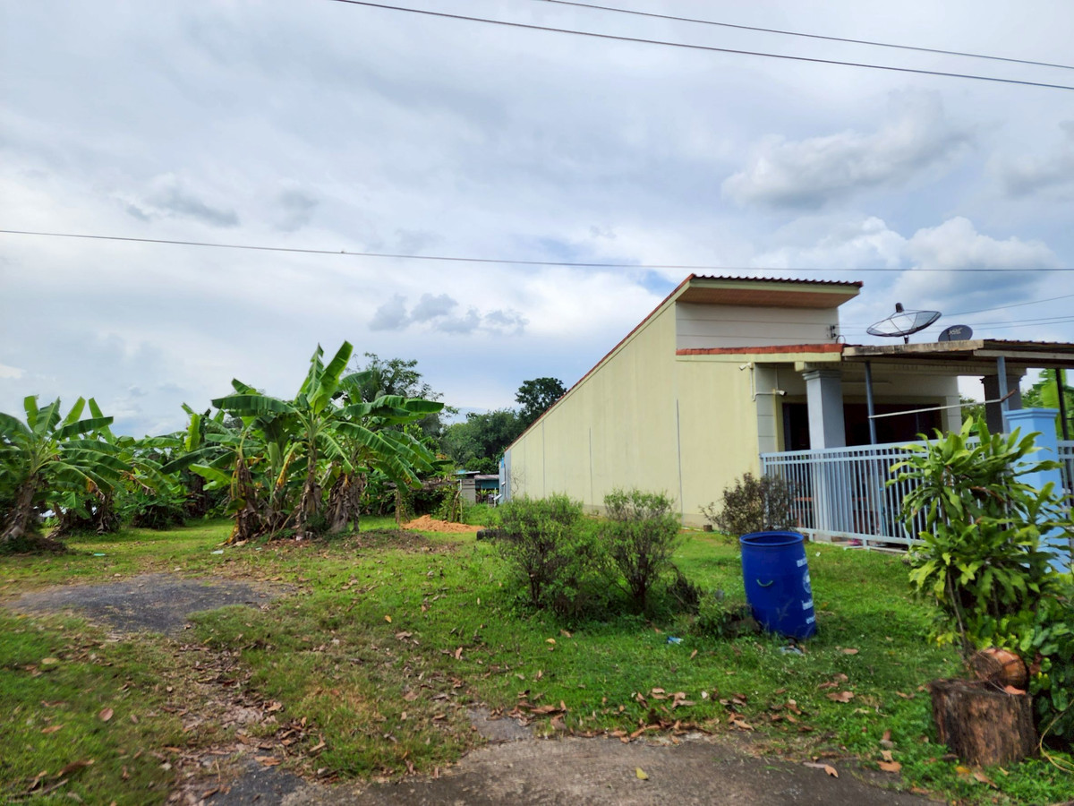 ขายที่ดินตรัง : ขายที่ดิน 3 ห้อง อำเภอนาโยง จังหวัดตรัง ติดถนนหลัก 2 งาน เหมาะทำธุรกิจ 