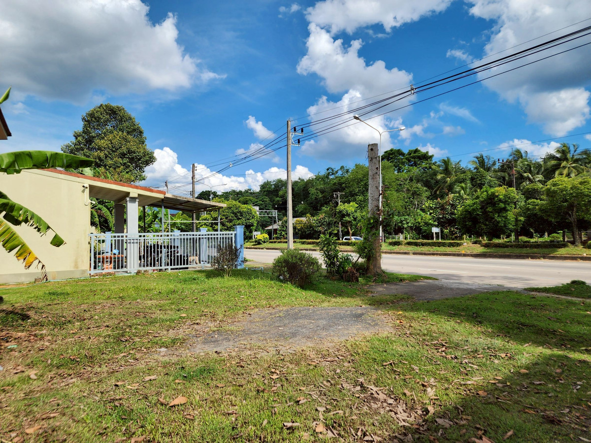 ขายที่ดินตรัง : ขายที่ดิน 3 ห้อง อำเภอนาโยง จังหวัดตรัง ติดถนนหลัก 2 งาน เหมาะทำธุรกิจ 