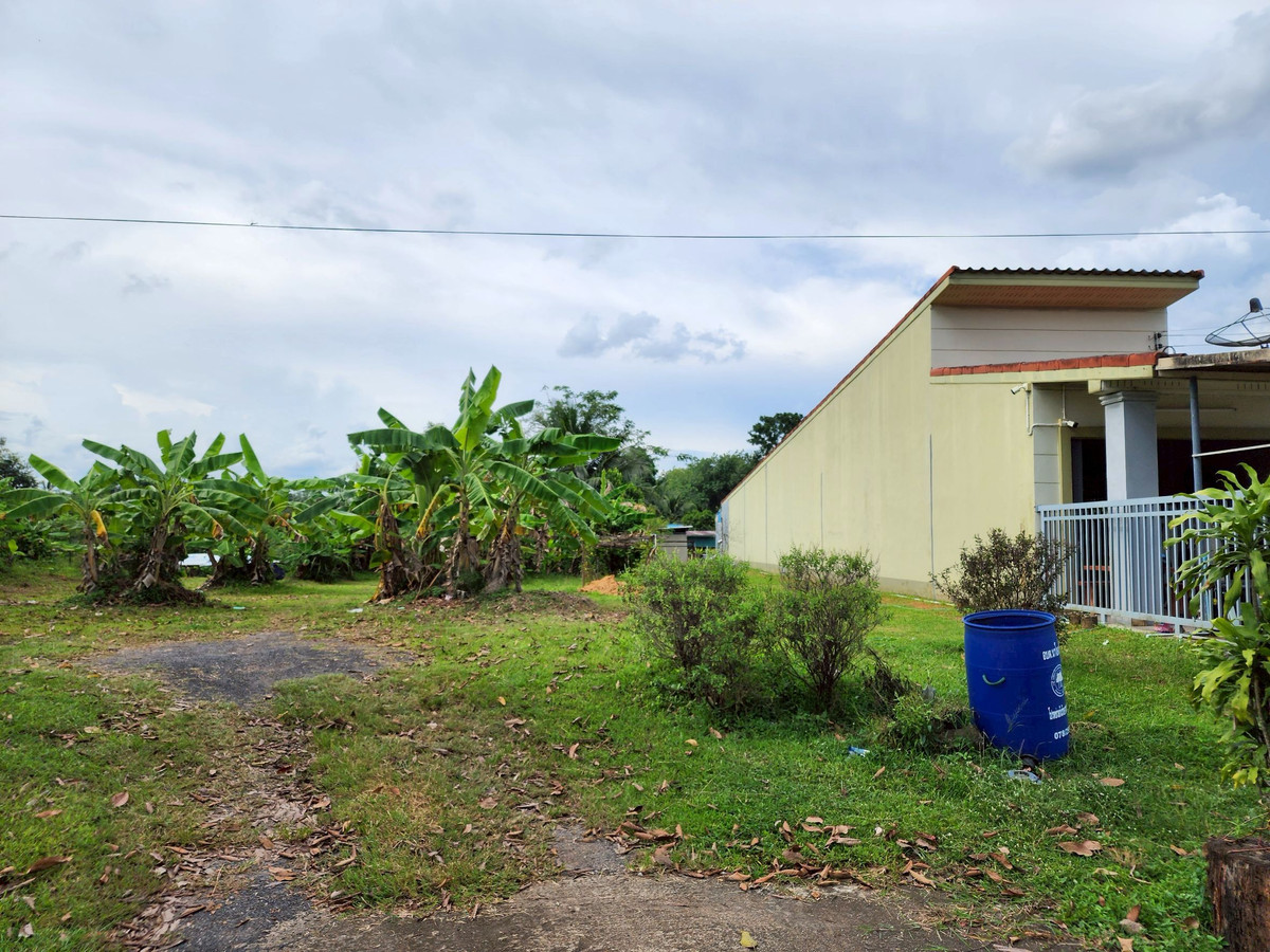 ขายที่ดินตรัง : ขายที่ดิน 3 ห้อง อำเภอนาโยง จังหวัดตรัง ติดถนนหลัก 2 งาน เหมาะทำธุรกิจ 