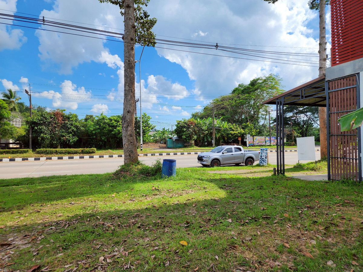 ขายที่ดินตรัง : ขายที่ดิน 3 ห้อง อำเภอนาโยง จังหวัดตรัง ติดถนนหลัก 2 งาน เหมาะทำธุรกิจ 