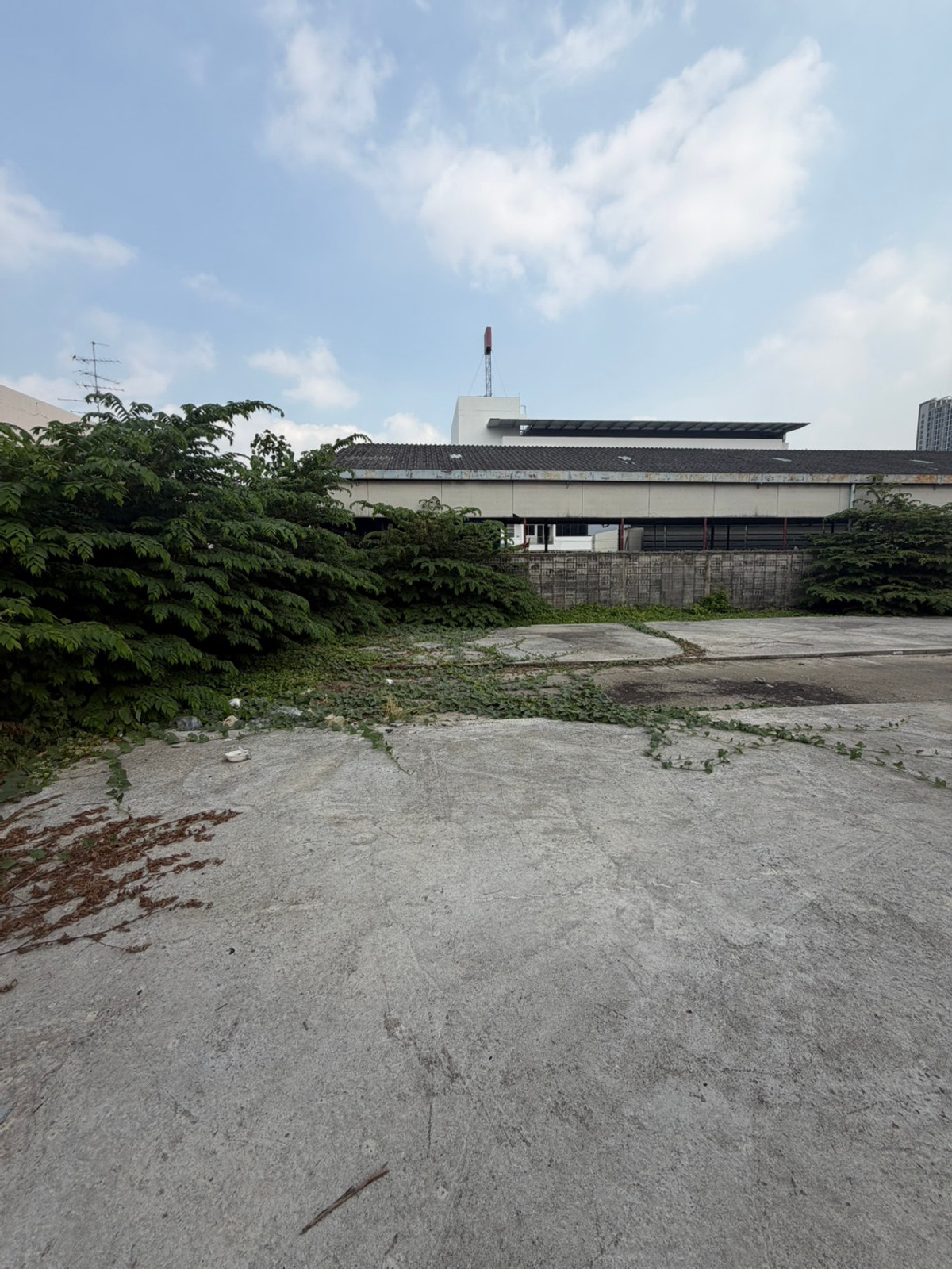 For SaleLandBang kae, Phetkasem : Land for sale 929 sq m 140 million