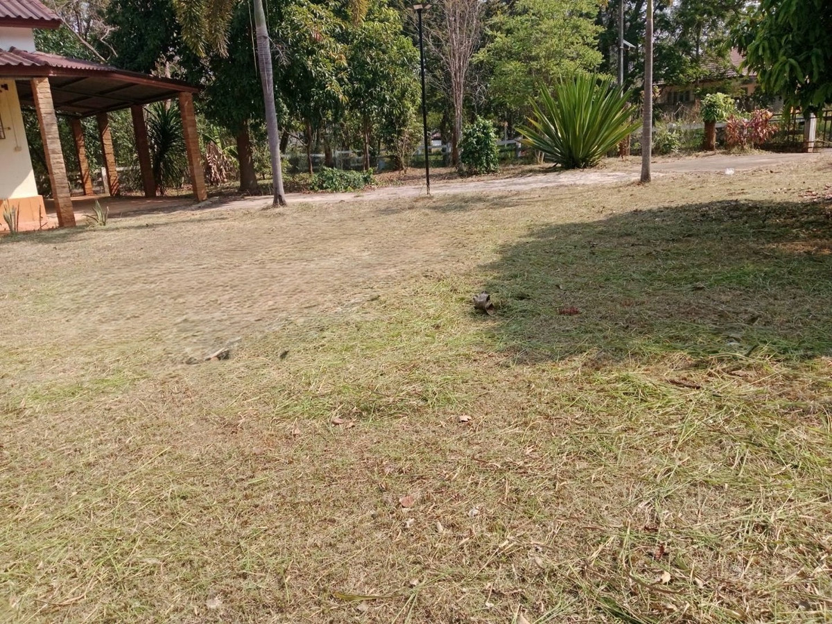 ขายที่ดินปากช่อง เขาใหญ่ : ขายที่ดินพร้อมสิ่งปลูกสร้าง 300 ตารางวา ทำเลหมูสี เขาใหญ่ ใกล้ Chateau de Khaoyai และคาเฟ่ชื่อดังในโซนเขาใหญ่ เหมาะทำบ้านพักต่างอากาศ