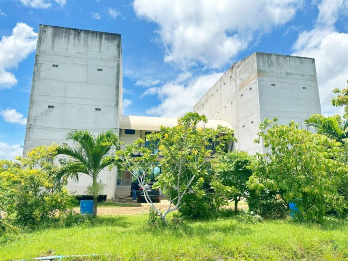 ขายอาคารพาณิชย์ชะอำ เพชรบุรี : ขาย กิจการ บ้านรังนกนางแอ่น พร้อมรายได้ ทำเล บ้านบางตะบูน ตำบล บางครก อำเภอ บ้านแหลม เพชรบุรี