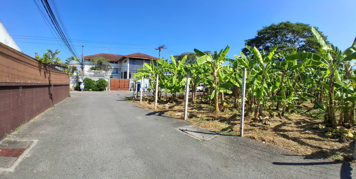 ขายที่ดินอ่อนนุช อุดมสุข : 🏡 Rare Land Opportunity in Prime Sukhumvit Area – Ideal for Investment or Development