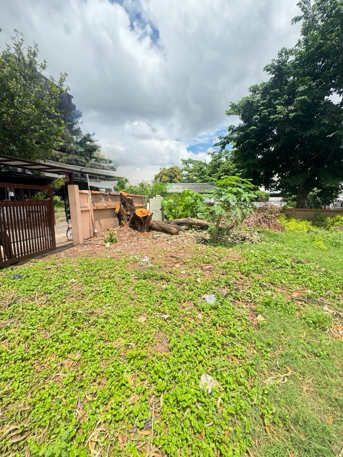 ขายที่ดินรามคำแหง หัวหมาก : ขายที่ดิน 200 ตร.ว. Town in Town ลาดพร้าว เหมาะสร้างบ้านหรือ Home Office