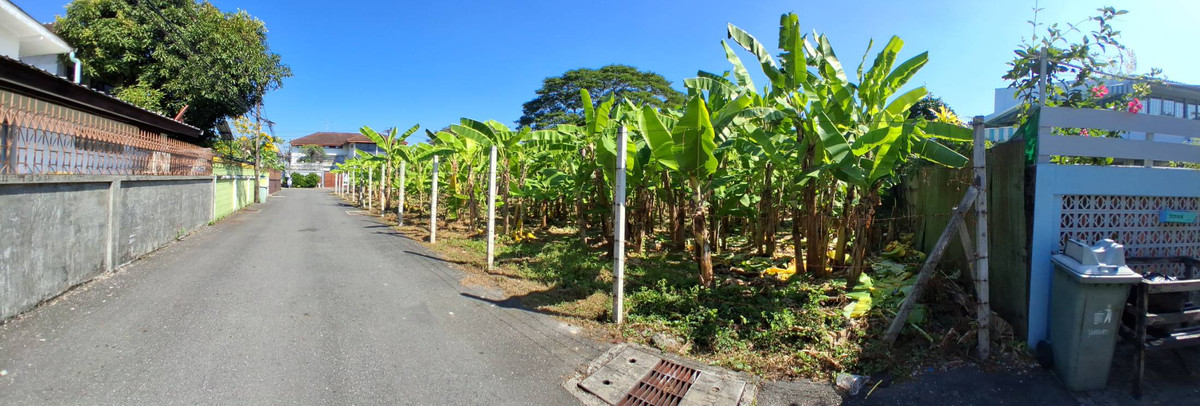 ขายที่ดินอ่อนนุช อุดมสุข : 🏡 Rare Land Opportunity in Prime Sukhumvit Area – Ideal for Investment or Development