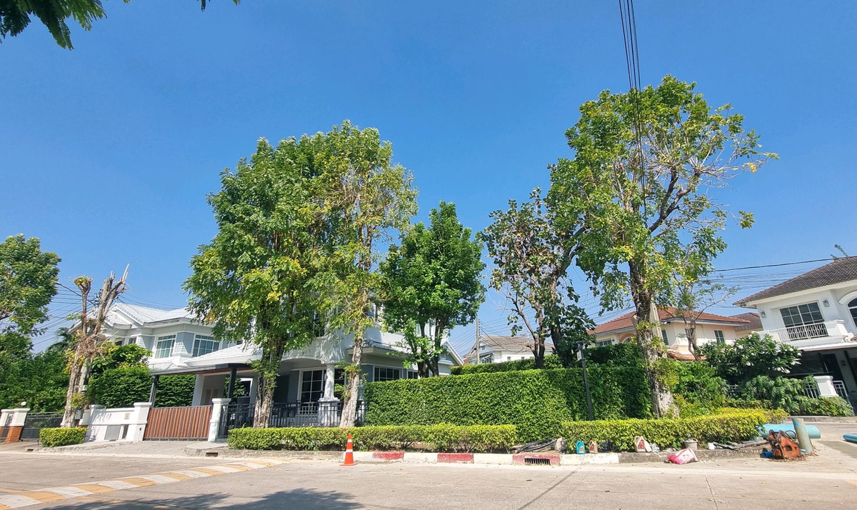 ให้เช่าบ้านนนทบุรี บางใหญ่ บางบัวทอง : ให้เช่าบ้านเดี่ยว ติดถนนราชพฤกษ์
หมู่บ้าน มัณฑนา ราชพฤกษ์ หลังมุม หน้าสวน ทำเลดี บ้านพร้อมเข้าอยู่