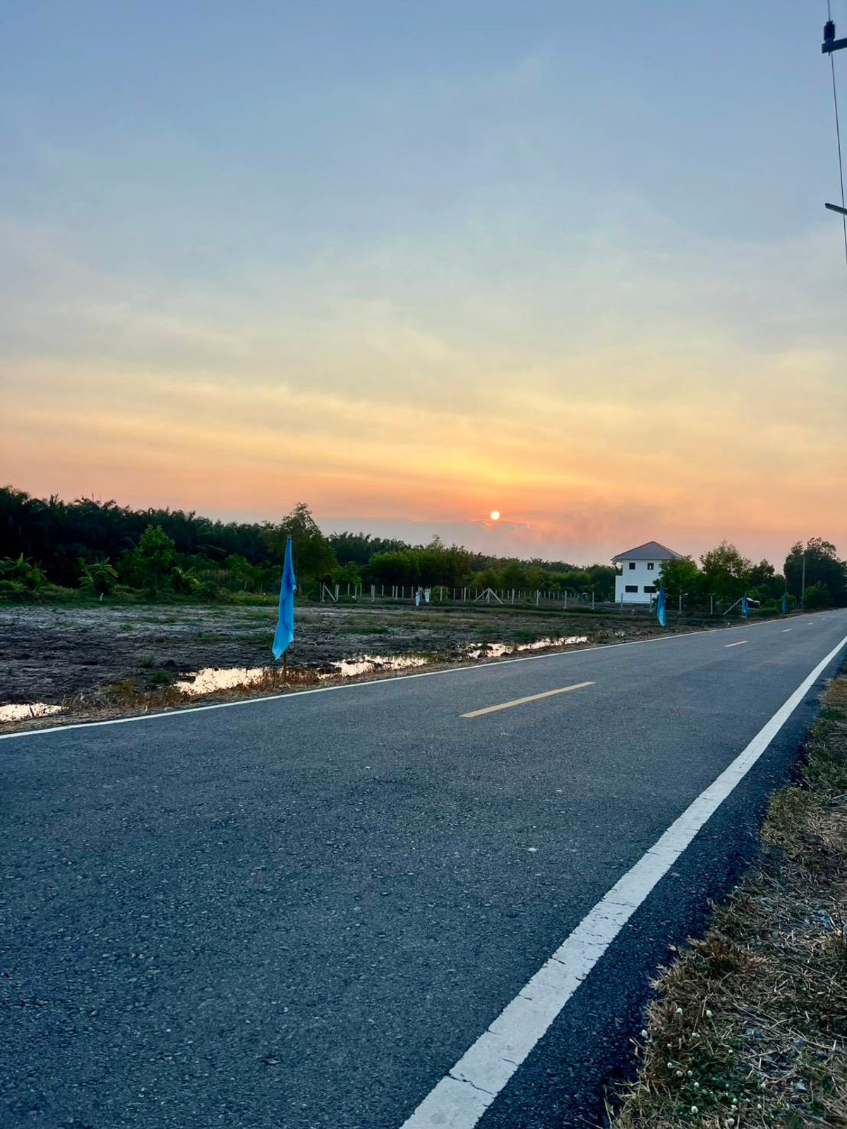 ขายที่ดินปทุมธานี รังสิต ธรรมศาสตร์ : 📢 ขายที่สวยทำเลดี อนาคตไกล คลอง 9 ต.บึงชำอ้อ อ.หนองเสือ ปทุมธานี