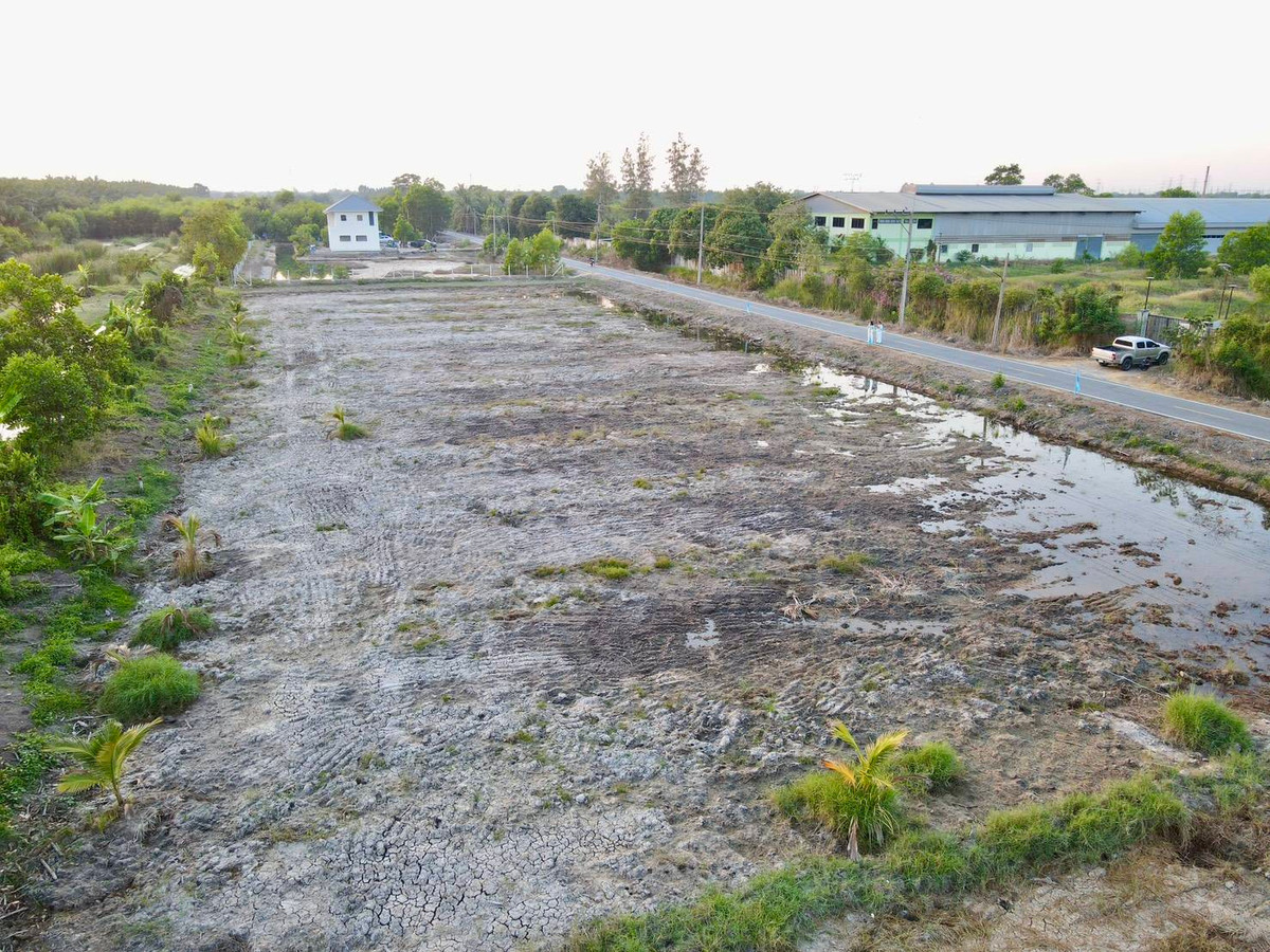 ขายที่ดินปทุมธานี รังสิต ธรรมศาสตร์ : 📢 ขายที่สวยทำเลดี อนาคตไกล คลอง 9 ต.บึงชำอ้อ อ.หนองเสือ ปทุมธานี