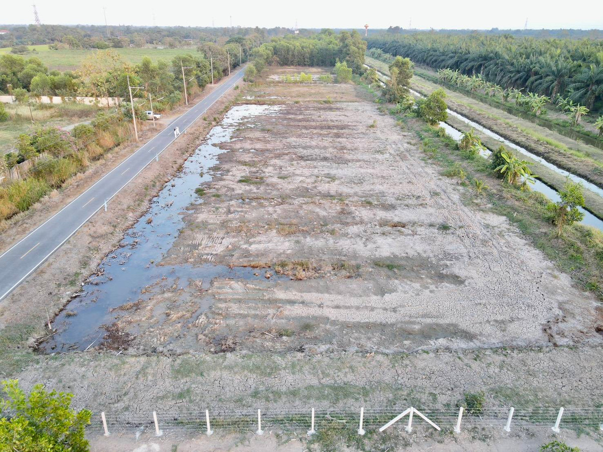 ขายที่ดินปทุมธานี รังสิต ธรรมศาสตร์ : 📢 ขายที่สวยทำเลดี อนาคตไกล คลอง 9 ต.บึงชำอ้อ อ.หนองเสือ ปทุมธานี