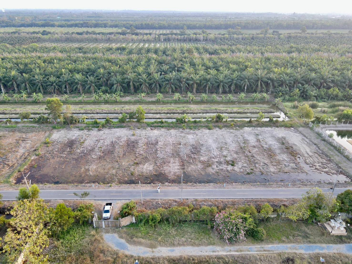 ขายที่ดินปทุมธานี รังสิต ธรรมศาสตร์ : 📢 ขายที่สวยทำเลดี อนาคตไกล คลอง 9 ต.บึงชำอ้อ อ.หนองเสือ ปทุมธานี