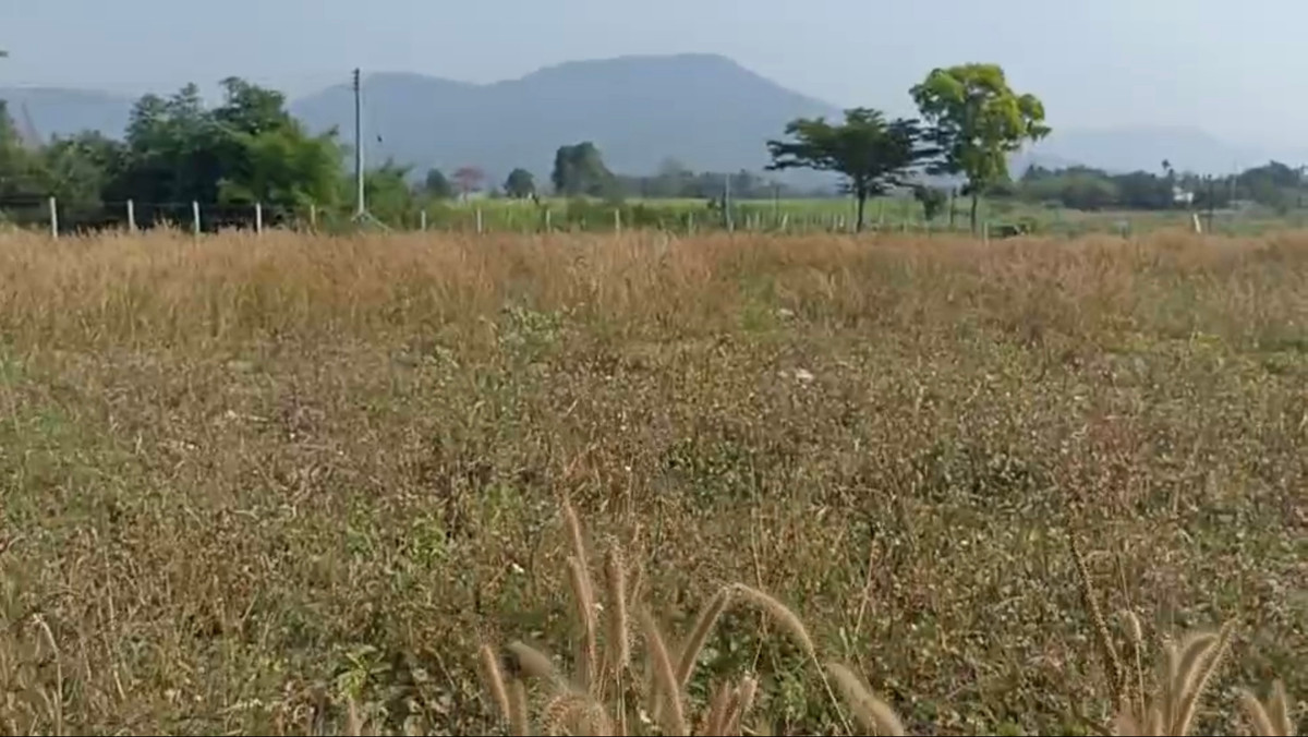 For SaleLandKorat Nakhon Ratchasima : Land in Wang Sai - Pak Chong, with views of Khao Yai Thiang mountain and surrounded by mountain view
