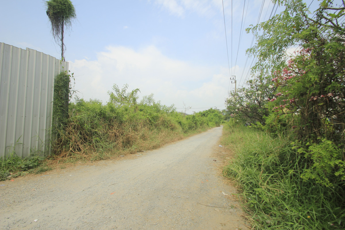 ขายที่ดินพระราม 2 บางขุนเทียน : ขายที่ดินพระราม2 ระหว่างพระราม2ซ.98กับ100 ที่ดินถมแล้ว 7-1-5 ไร่ ลงเสาเข็มทั่วบริเวณที่ดิน ขาเข้าเมืองใกล้ทางด่วนสุขสวัสดิ์ บางพลี สร้างโกดัง ออฟฟิศ สำนักงาน 38,000บาท/วา